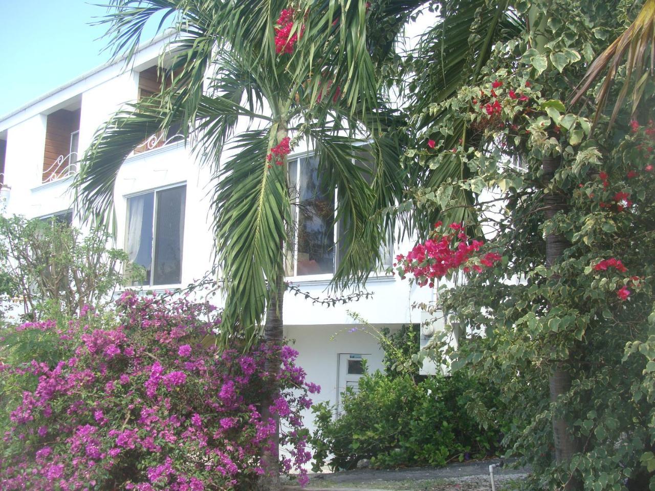 Coral Lane Beach Apartments Saint James Buitenkant foto