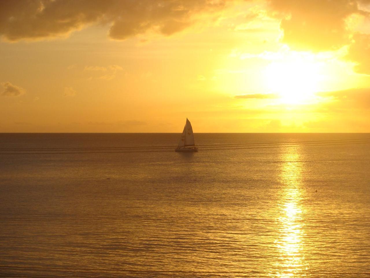Coral Lane Beach Apartments Saint James Buitenkant foto